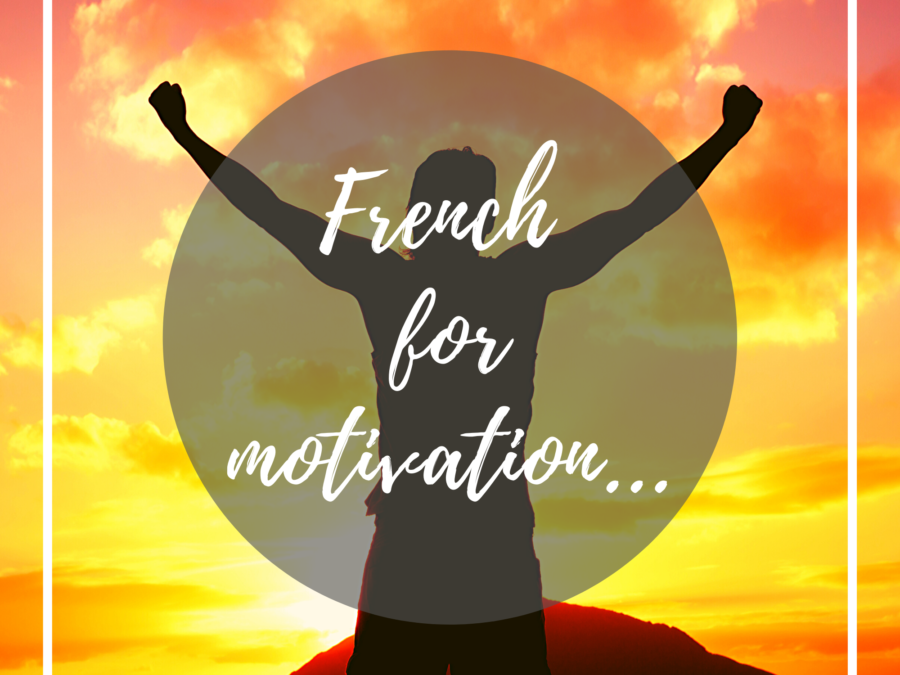 Group French Lessons or Webinars
